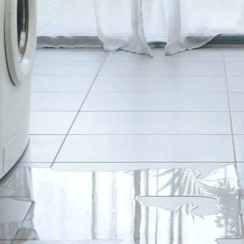 Appliance Leak Cleanup in Iraan, TX