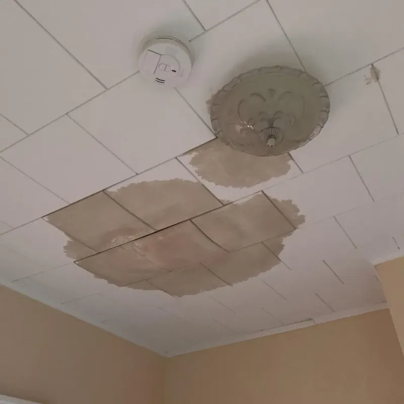 Ceiling Water Damage Repair in Iraan, TX