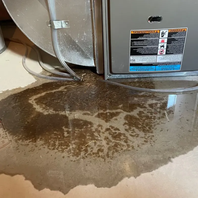 Pipe Burst and Leak Restoration in Iraan, TX