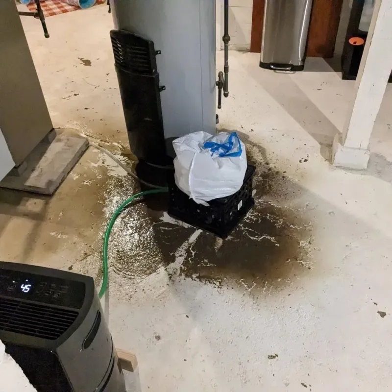 Sewage Backup Cleanup Service in Iraan, TX